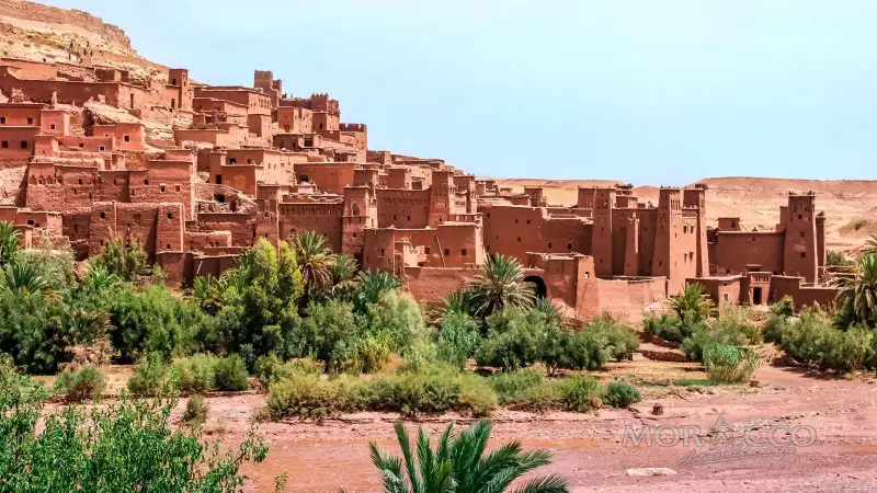 Local guide in Morocco