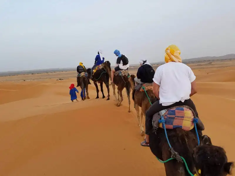 A camel caravan in the Sahara