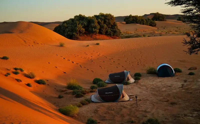 A desert camp in the dunes
