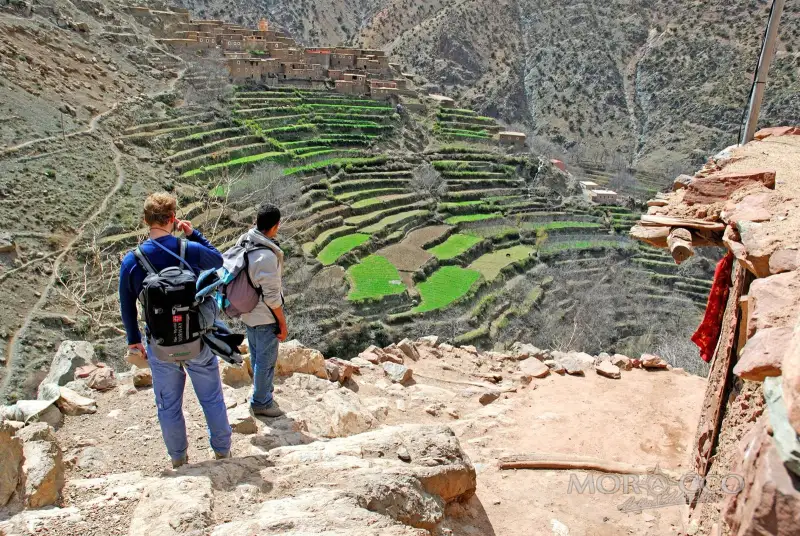 Terraced fields in the High Atlas
